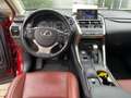 Lexus NX 300 h Executive Panodach*Sitzheizung*uvm Rot - thumbnail 10