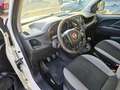 Fiat Doblo Doblo CARGO CH1 1.6 MJT 95CV CON PREZZO REALE +IVA Bianco - thumbnail 12
