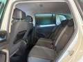 Volkswagen Tiguan 2.0 tdi Business 4motion 150cv dsg Blanc - thumbnail 8