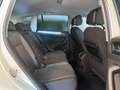 Volkswagen Tiguan 2.0 tdi Business 4motion 150cv dsg Blanc - thumbnail 23