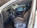 Volkswagen Tiguan 2.0 tdi Business 4motion 150cv dsg Blanc - thumbnail 21