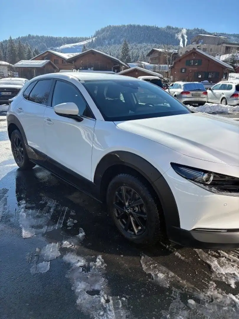 Mazda CX-30 CX-30 e-Skyactive-X 186 Exclusive-Line Aut. Exclusive-Line - 2
