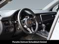 Porsche Macan LED PDLS+ Komfortsitze 14-Wege 20-Zoll Gris - thumbnail 6
