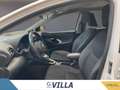 Toyota Yaris 1.5h Business Bianco - thumbnail 13