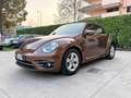 Volkswagen Maggiolino Maggiolino Cabrio 1.2 tsi 105cv Allstar - Brown Braun - thumbnail 5