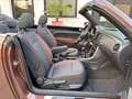 Volkswagen Maggiolino Maggiolino Cabrio 1.2 tsi 105cv Allstar - Brown Braun - thumbnail 8