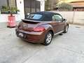Volkswagen Maggiolino Maggiolino Cabrio 1.2 tsi 105cv Allstar - Brown Braun - thumbnail 3