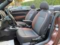 Volkswagen Maggiolino Maggiolino Cabrio 1.2 tsi 105cv Allstar - Brown Braun - thumbnail 7