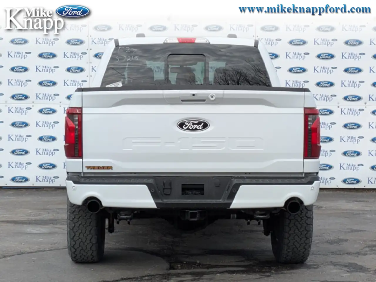 Ford F 150 снимка Ford F 150