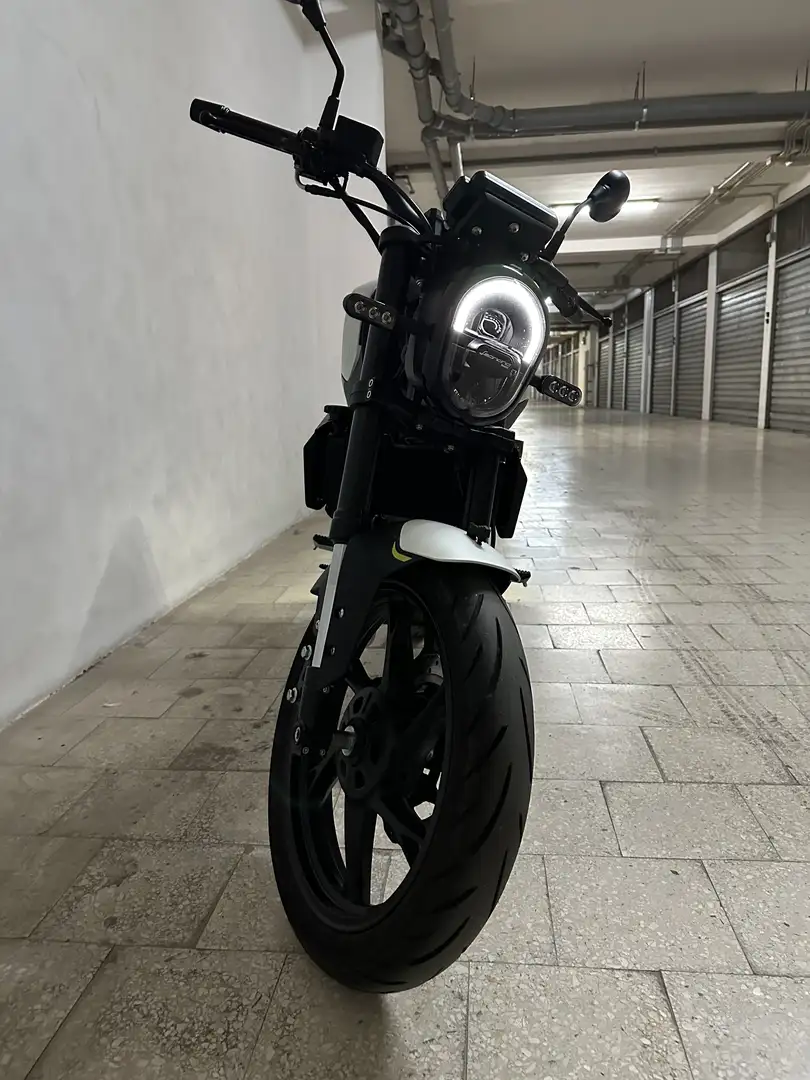 Benelli Leoncino - 2