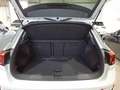 Volkswagen T-Roc Goal 1.0 l TSI 6-Gang Navi ACC SHZ PDC Weiß - thumbnail 6