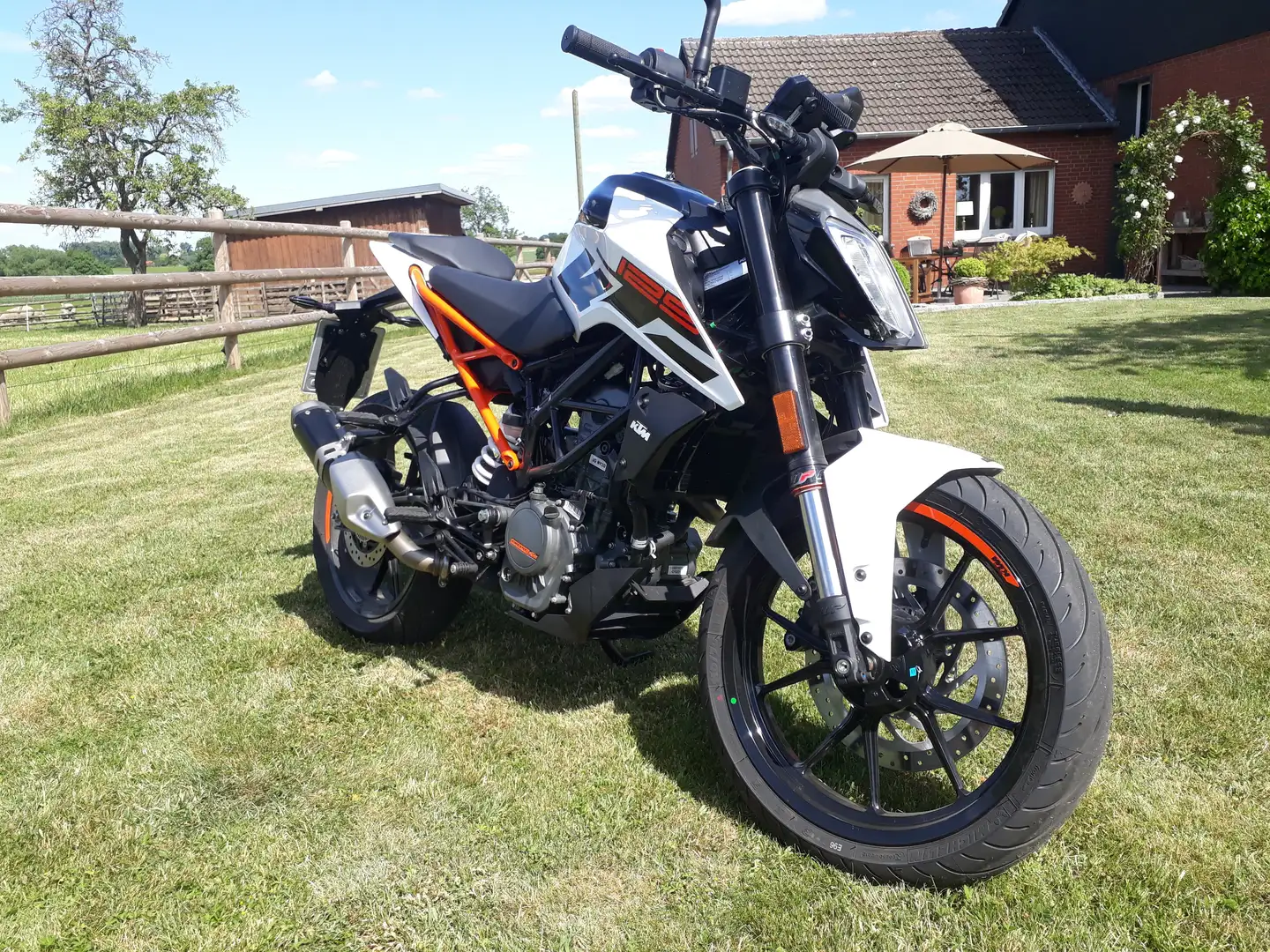 KTM 125 Duke Alb - 2