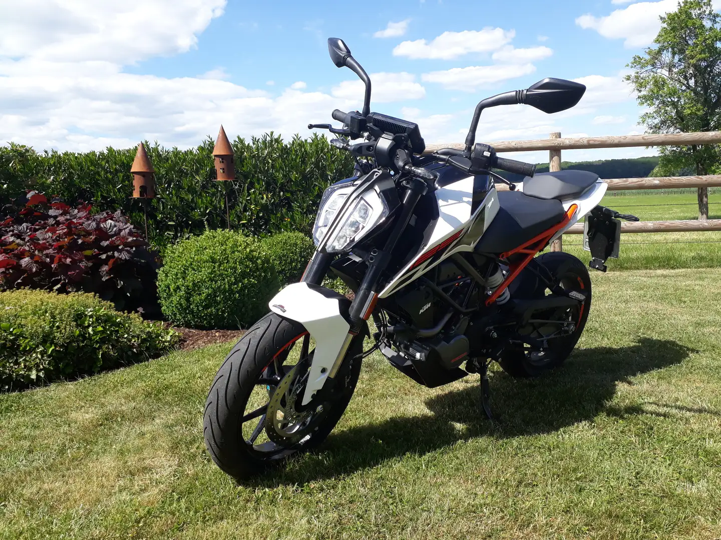 KTM 125 Duke Alb - 1