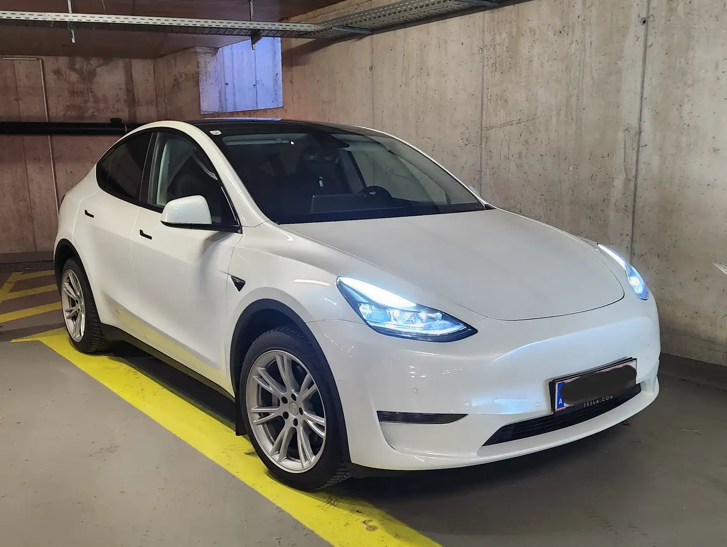 Tesla Model Y Model Y Long Range AWD 75kWh Weiß - 1