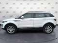 Land Rover Range Rover Evoque Range Rover Evoque 2.0 TD4 150 CV 5p. HSE Blanc - thumbnail 4