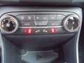 Ford Fiesta ST-Line, Kamera, PP v.+h., Allwetter, LED Grau - thumbnail 13