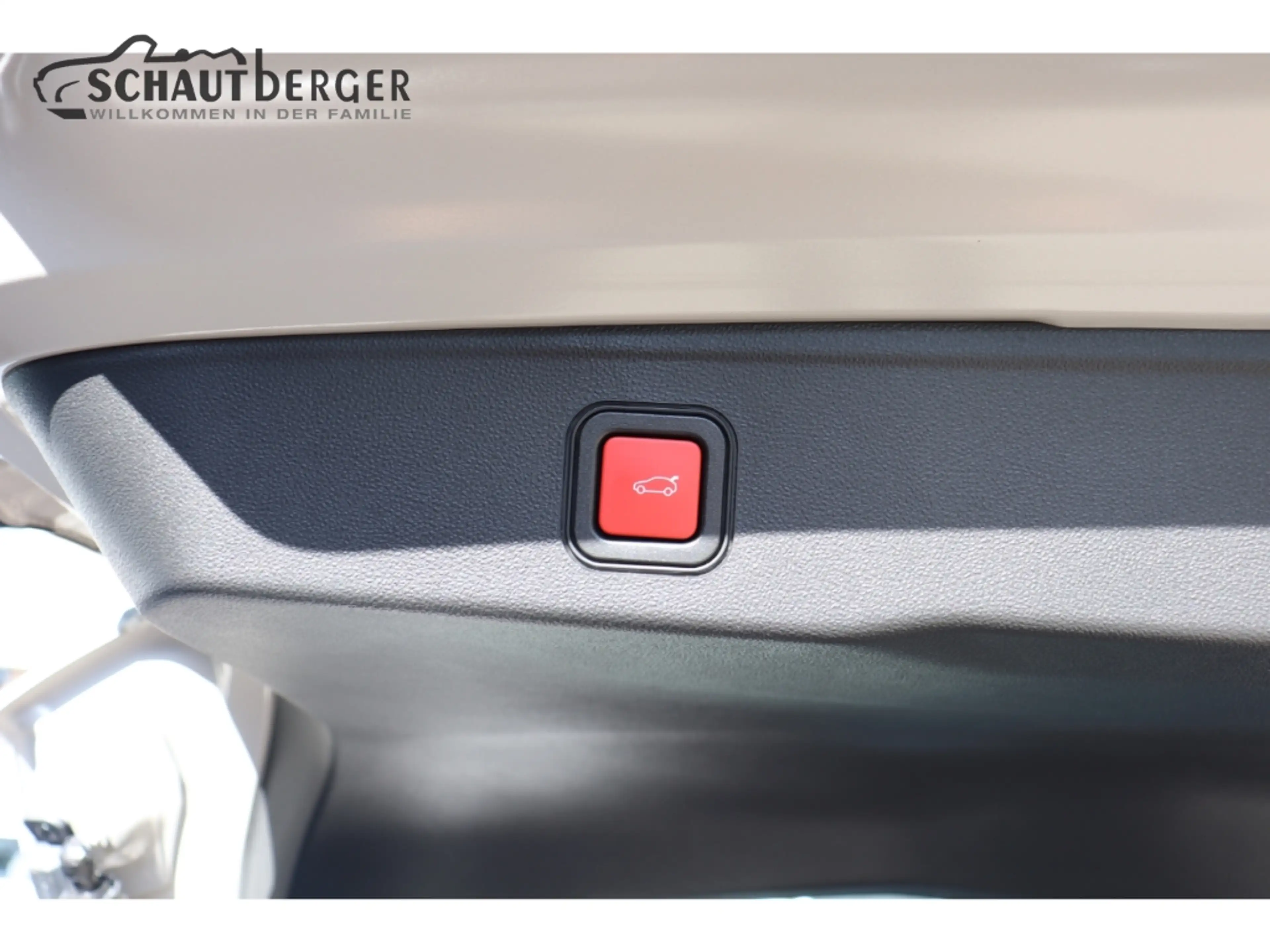 Jeep Avenger Altitude Mild-Hybrid inkl. R-Kamera, Navi LMF, PDC — photo 9