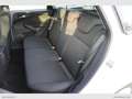 Ford Focus 1.5 TDCi 120 CV S&S SW Plus Euro 6B Bianco - thumbnail 12