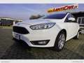 Ford Focus 1.5 TDCi 120 CV S&S SW Plus Euro 6B Wit - thumbnail 16