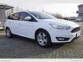 Ford Focus 1.5 TDCi 120 CV S&S SW Plus Euro 6B Bianco - thumbnail 3
