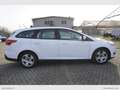 Ford Focus 1.5 TDCi 120 CV S&S SW Plus Euro 6B Bianco - thumbnail 4