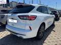 Ford Kuga 1.5 ecoblue ST-Line 2wd 120cv Wit - thumbnail 5