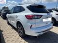 Ford Kuga 1.5 ecoblue ST-Line 2wd 120cv Wit - thumbnail 4