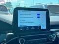 Ford Kuga 1.5 ecoblue ST-Line 2wd 120cv Wit - thumbnail 14
