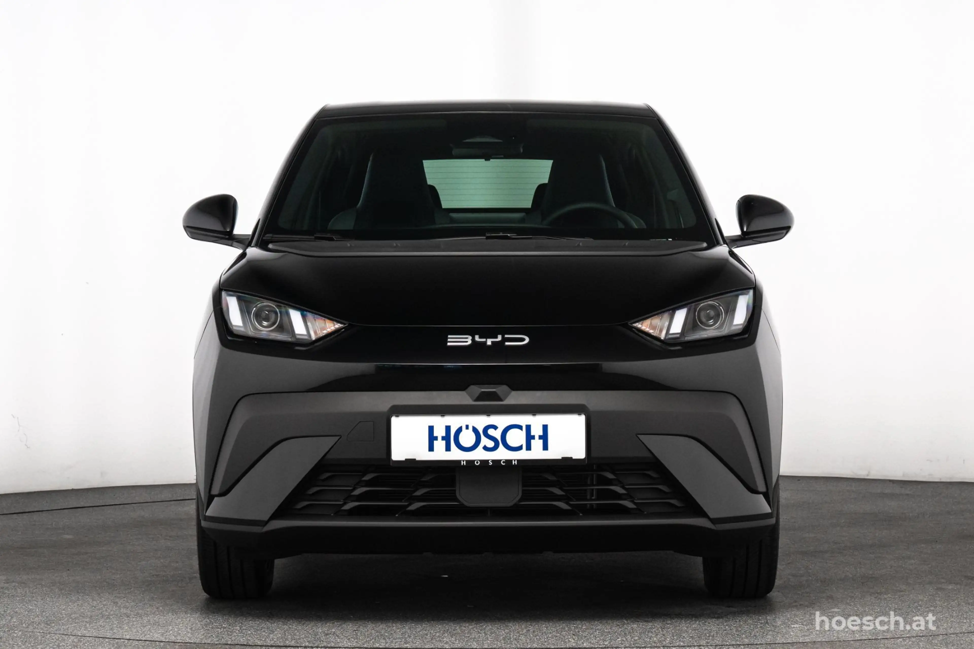 BYD Dolphin Surf BOOST 43 kWh TAGESZULASSUNG OHNE KM — photo 2