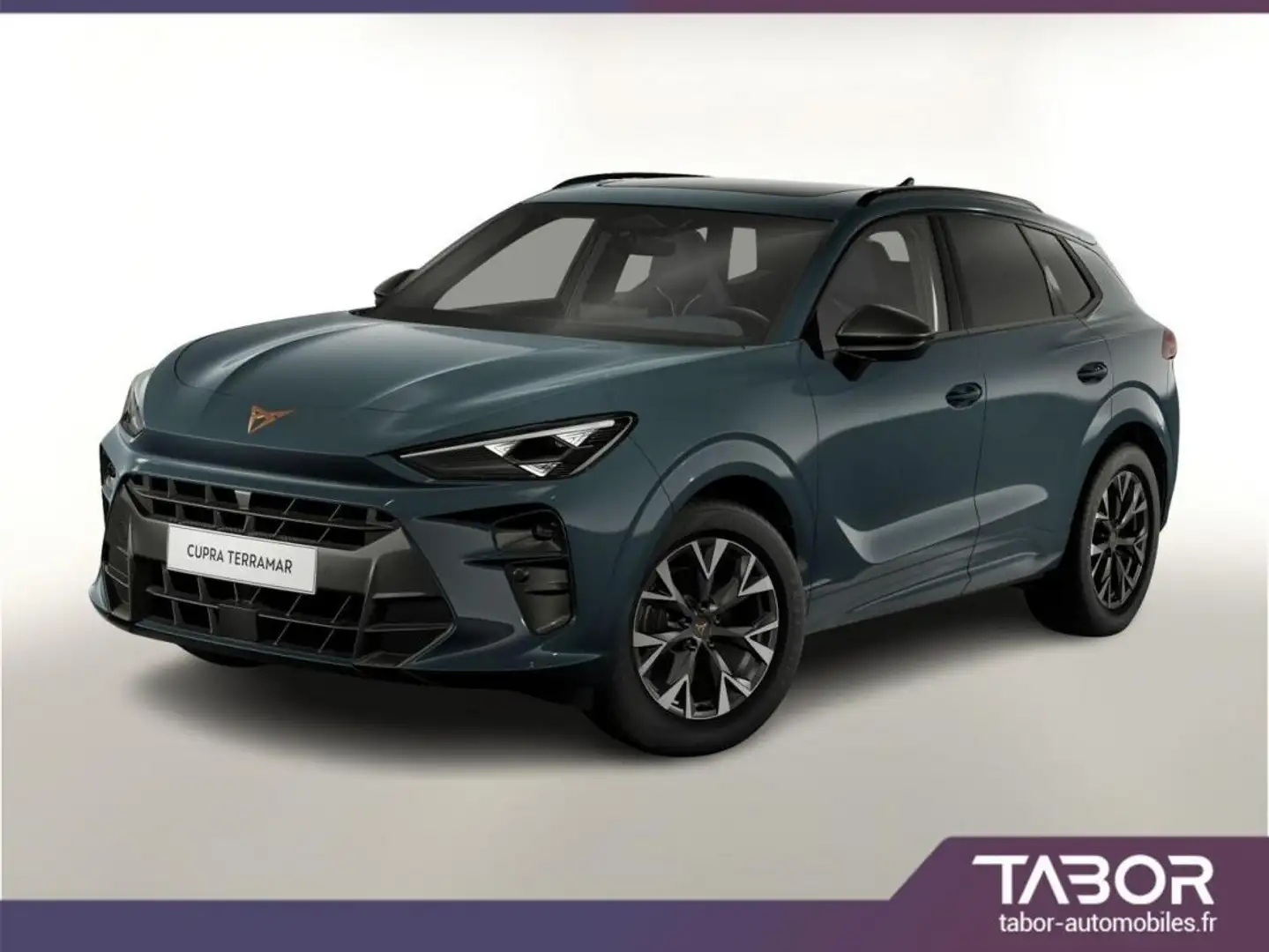 CUPRA Terramar 1.5 eTSI 150 DSG Pano EdgeP LED Bleu - 1