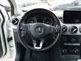Mercedes-Benz B 180 - T246 Diesel B 180 d (cdi) Business Blanco - thumbnail 18