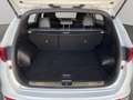 Kia Sportage 2.0 CRDI 185 CV AWD GT Line Bianco - thumbnail 22