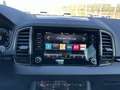 Skoda Karoq 2.0 TDI Style 4x4 Klima Navi Rückfahrkamera Blau - thumbnail 7