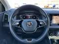 Skoda Karoq 2.0 TDI Style 4x4 Klima Navi Rückfahrkamera Blau - thumbnail 10