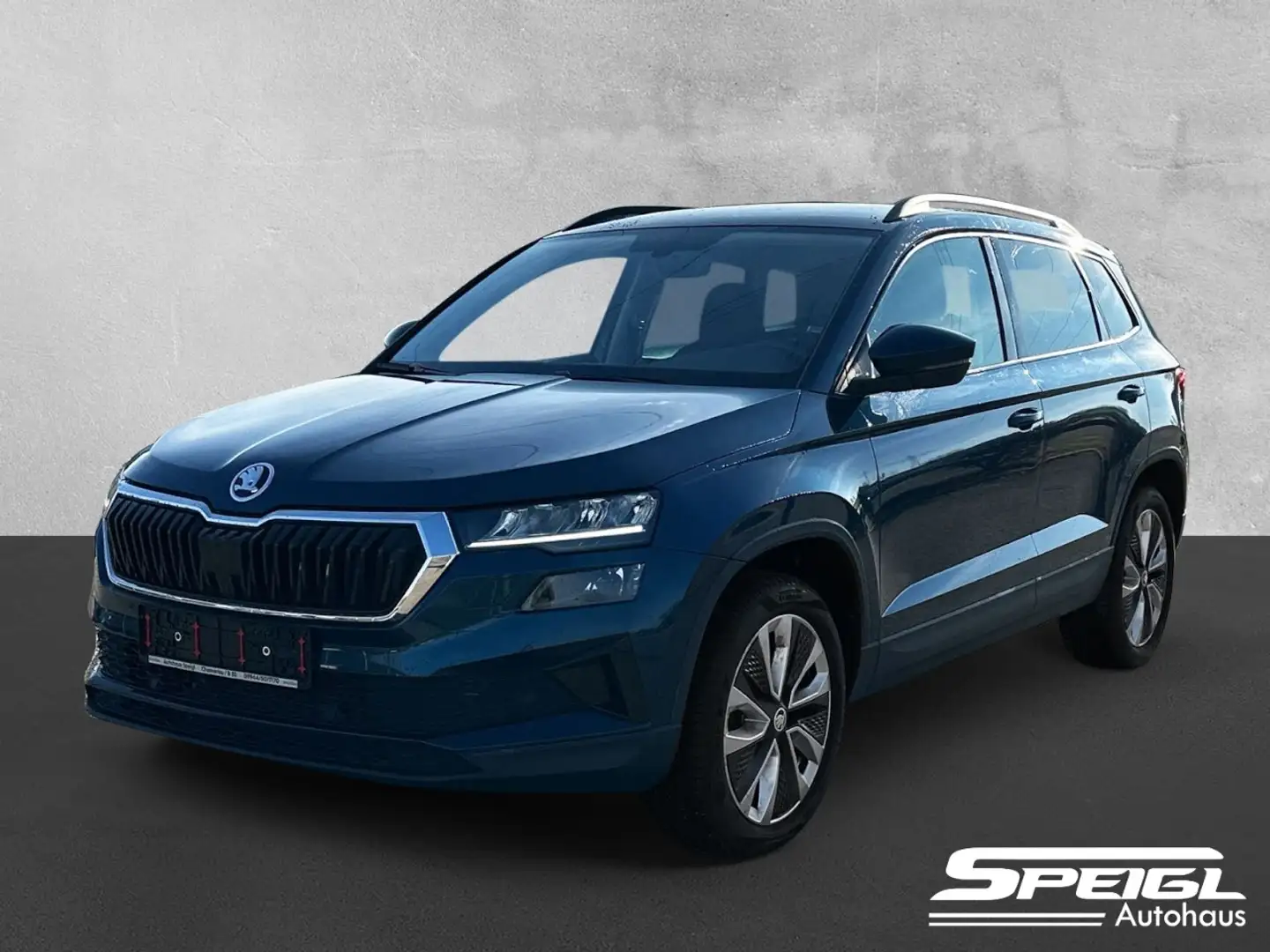 Skoda Karoq 2.0 TDI Style 4x4 Klima Navi Rückfahrkamera Blau - 1