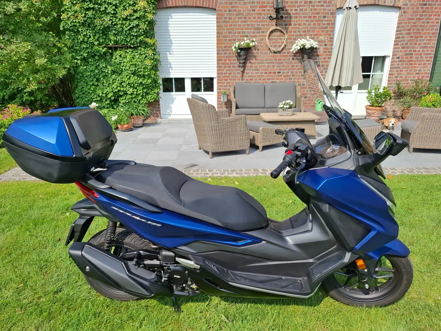 Honda Forza 350 Scooter Bleu - 2