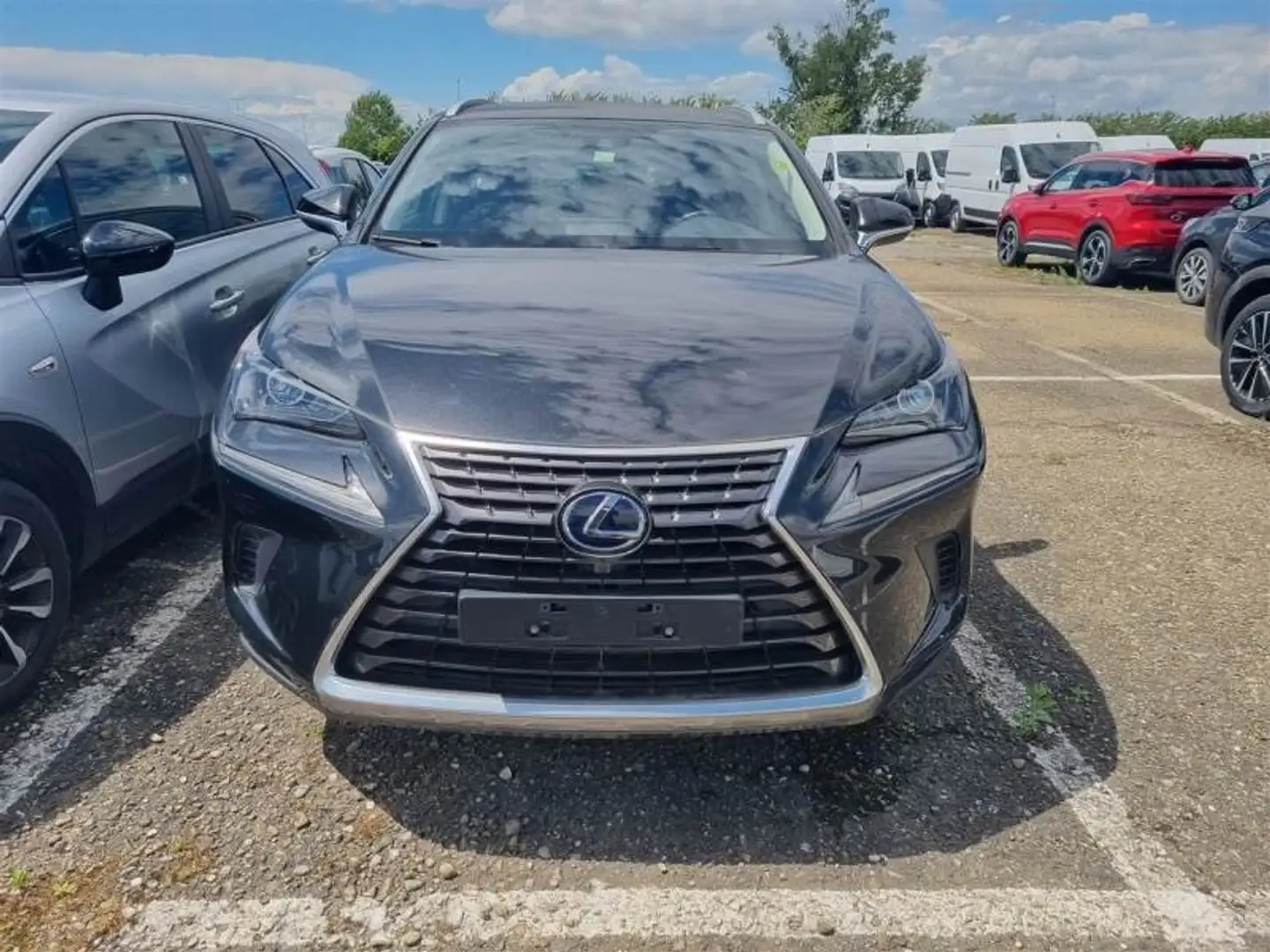 Lexus NX 300 h 2.5 Business 2wd cvt - GN210LL Nero - 2