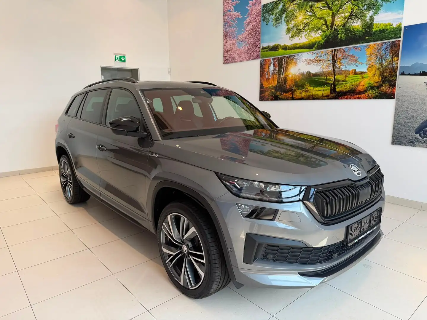 Skoda Kodiaq Sportline 4x4 Grau - 1
