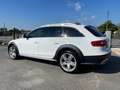 Audi A4 allroad A4 Allroad 2.0 TDI Advanced S-Tronic QUATTRO Blanc - thumbnail 3