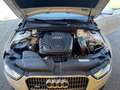 Audi A4 allroad A4 Allroad 2.0 TDI Advanced S-Tronic QUATTRO Blanc - thumbnail 15