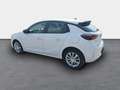 Opel Corsa 1.2 Edition DAB SHZ LenkradHZG Spurhalteass. Verke Weiß - thumbnail 5