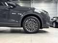Volkswagen Tiguan Tiguan 1.5eTSI DSG Elegance 360°CAM*CARPLAY*ACC Grigio - thumbnail 6