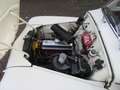 Volvo P544 Blanc - thumbnail 13