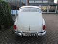 Volvo P544 Blanc - thumbnail 5