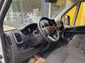 Peugeot Boxer 35+ L4H2 BlueHDi 140 S&S!€ 21.566 NETTO!T... Weiß - thumbnail 7