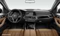 BMW X5 xDrive30d xLine Head-Up HiFi DAB WLAN AHK Negro - thumbnail 3