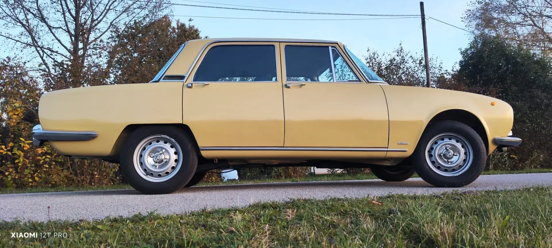 Alfa Romeo Giulia BERTONE Giallo - 1