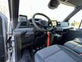 Renault Master Paardenwagen / Horsetruck / Veewagen T35 2.0 dCi 1 Wit - thumbnail 21