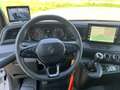 Renault Master Paardenwagen / Horsetruck / Veewagen T35 2.0 dCi 1 Wit - thumbnail 18