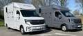 Renault Master Paardenwagen / Horsetruck / Veewagen T35 2.0 dCi 1 Wit - thumbnail 22